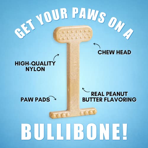 Nylon Dog Chew Toy for Aggressive Chewers (XL - Single)