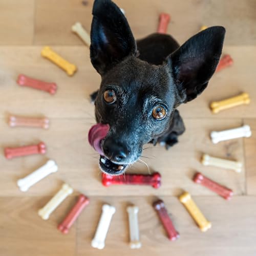 Power Chew Customer Favorites Dog Chew Toys (Small / Bundle)