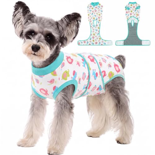 Dog Recovery Suit (Mint Green / X-Small)