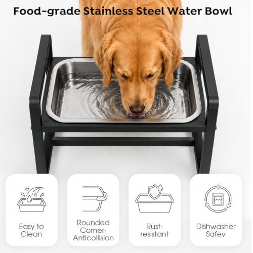 Adjustable Height Elevated Large Dog Water Bowls with Stainless Steel Bowls and Metal Stand (2.4GLLON)