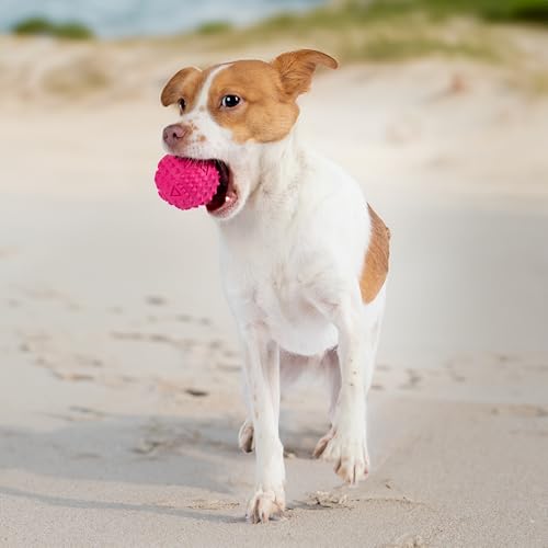 Squeaky Dog Toys with Soft Durable Fabric for Small (Fuchsia, Green / Large)
