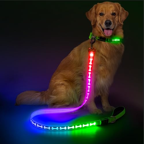 Light Up Dog Leash (Grey)