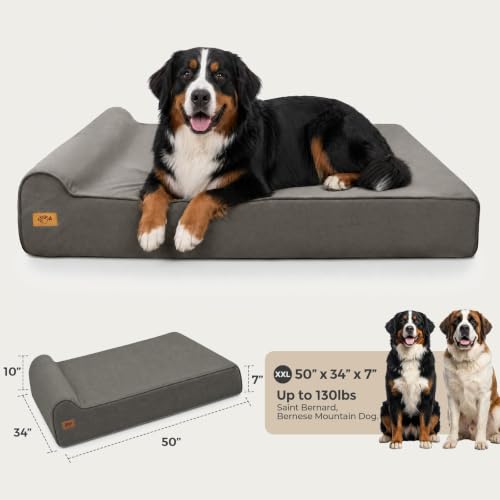 XXL 35D Memory Foam Dog Bed for Extra Large Dogs (XX-Large / Dark Grey)