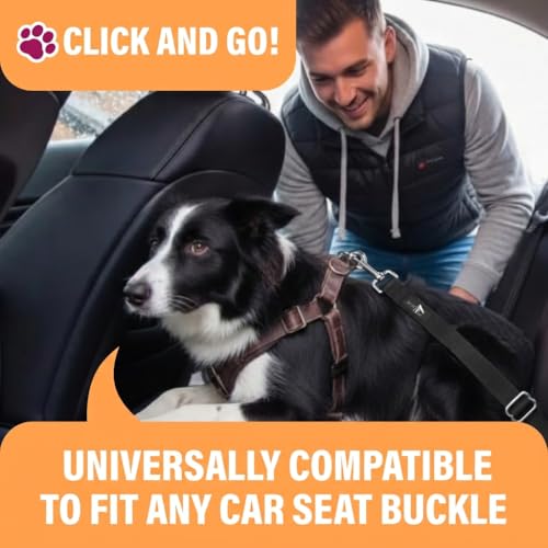 Black Car Seat Belt for Dogs 2 Pack (Black - 2 Pack)