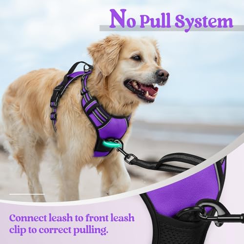 Dog Harness No Pull Medium Sized with 2 Leash Clips (Medium / Purple)