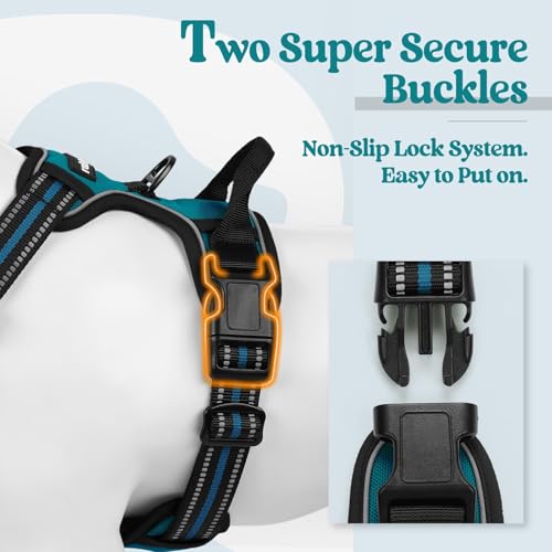 Dog Harness No Pull with 2 Leash Clips (X-Large / Blue Coral)
