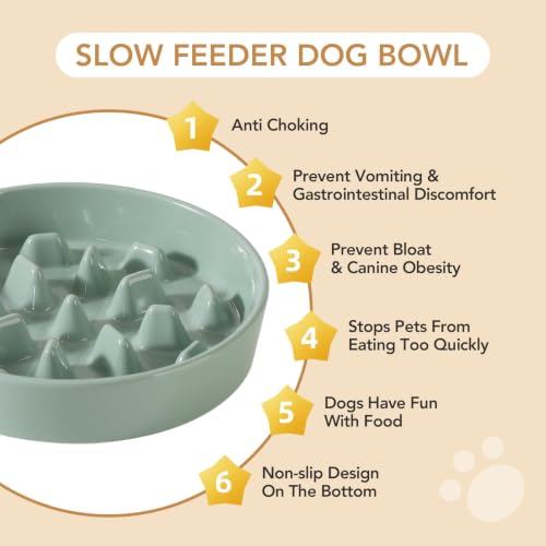 Ceramic Slow Feeder Dog Bowls (Light Green)