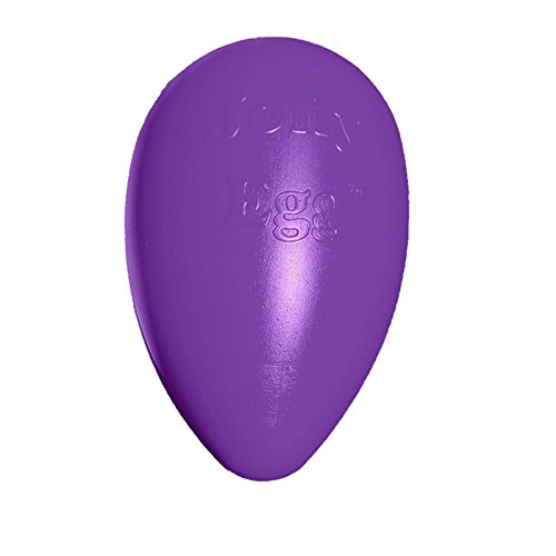 Jolly Egg Plastic Dog Chew Toy 8 inch Purple (Medium (8 in) / Purple)