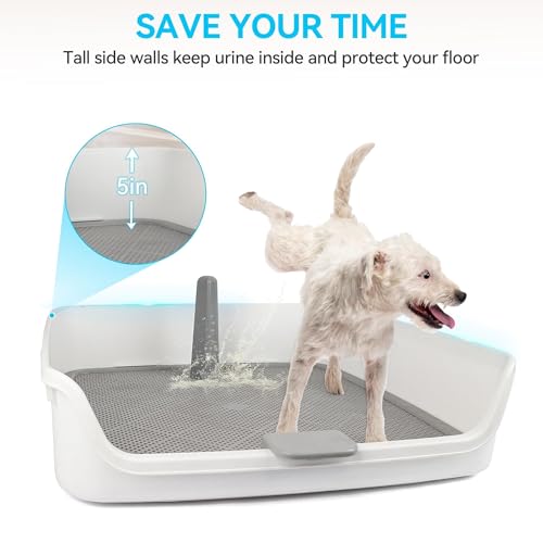Dog Potty Tray