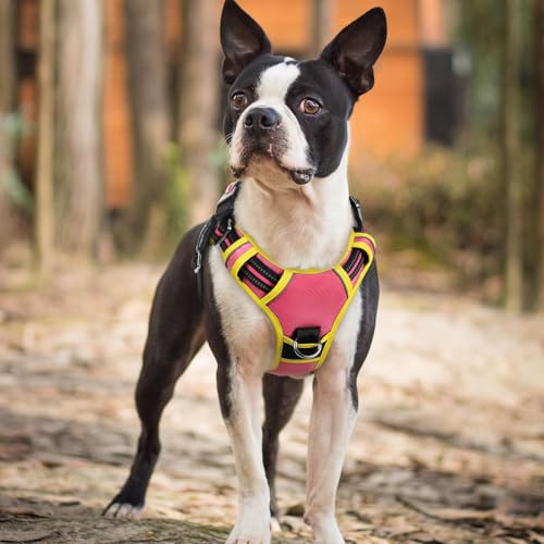 Dog Harness Small Sized (Pink & Yellow / Small)