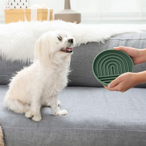 Slow Feeder Dog Bowl (Spruce / Small (6” Across x 1.25” Tall))
