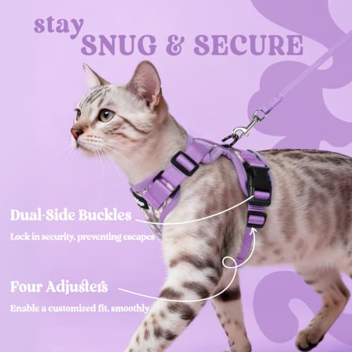 Cat Harness and Leash Set (Xxs / Purr-ple Daisy)