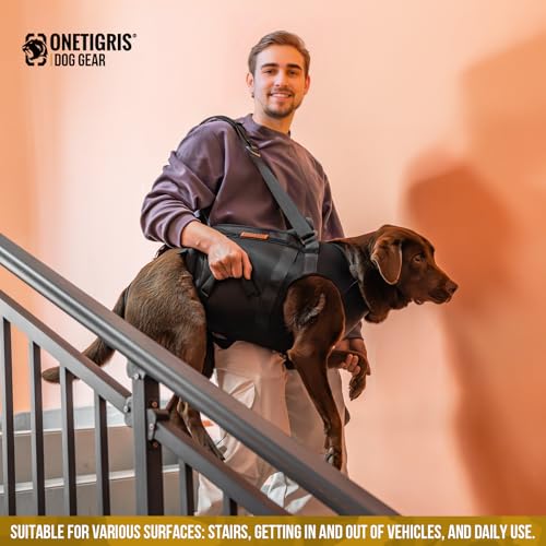 Full Body Dog Carry Sling for Large Dogs (Black / XXL)
