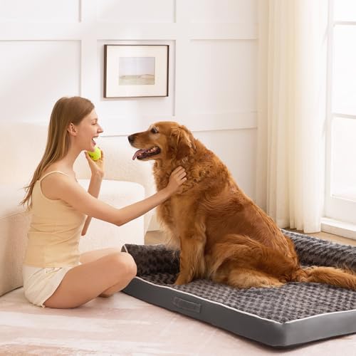 XXL Orthopedic Dog Bed (48.0"L x 35.0"W x 7.5"Th / Dark Grey)