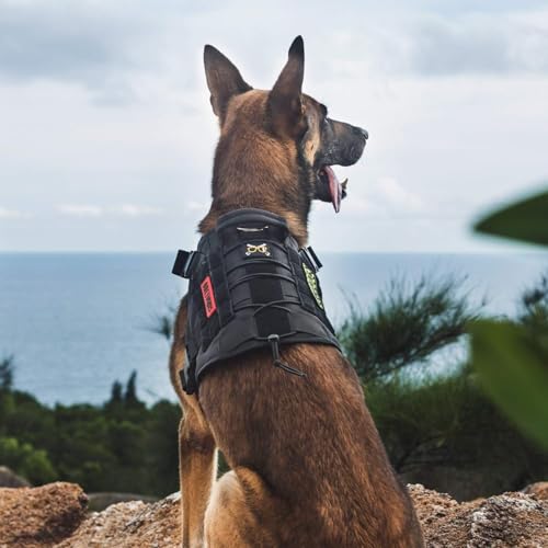 Tactical Dog Harness (Large / Black)