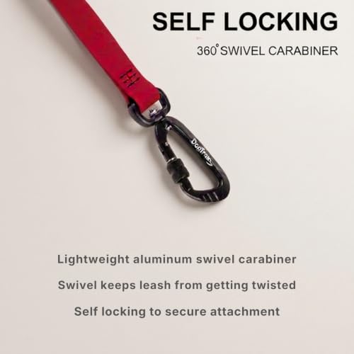 Essential Biothane Dog Leash (Yellow / 1 In x 5 Feet)