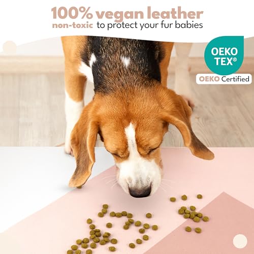 Large Dog Mat for Food and Water (16.5"L x 26"W / Birthday Suit)
