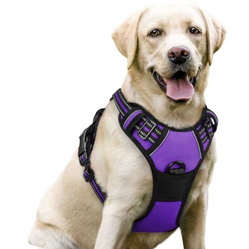 Dog Harness No (Large / Purple)