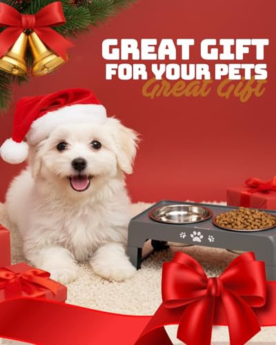 Elevated Dog Bowls for Small Dogs and Cats (for Small Dogs and Cats 2 Basic Bowls / Grey)
