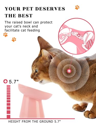 6 Inch Slow Feeder Bowl (Pink)