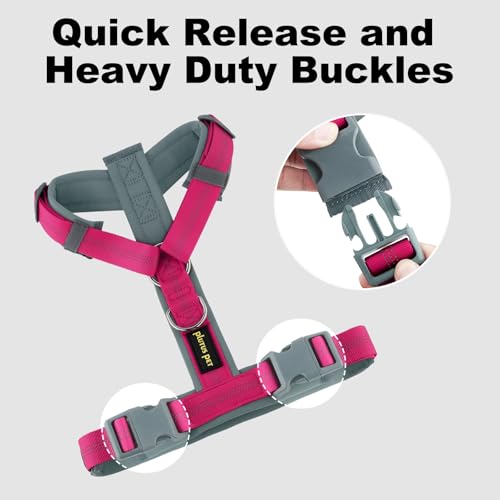 No Pull Dog Harness (XL / Hot Pink)