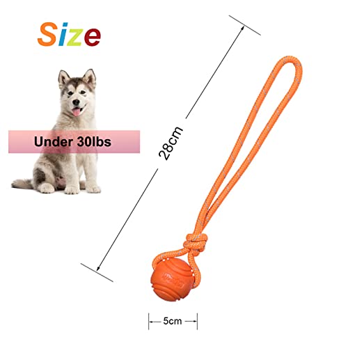 Dog Training Ball on A Rope Rubber Dog Rope Toys Ball with Handle for Tug of War K9 Training Rewards for Belgian Malinois Gifts (Four colors / 5cm (with rope))