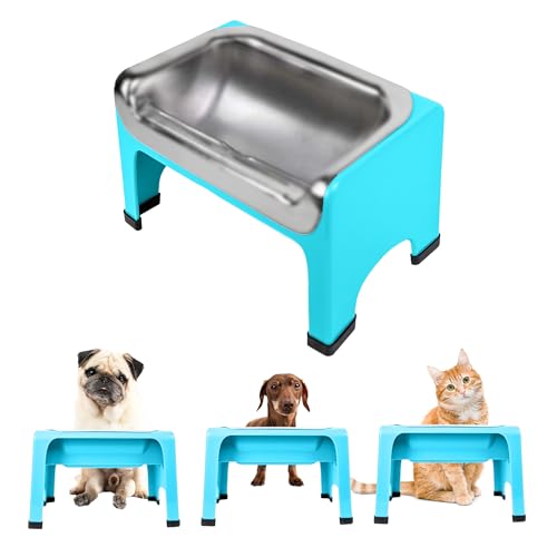 7.25 Inch Tall Elevated Bowls for Medium & Small Dogs (Teal)