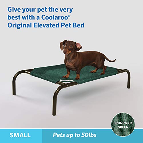 Original Pet Bed Replacement Cover (Brunswick Green / Small / Small)