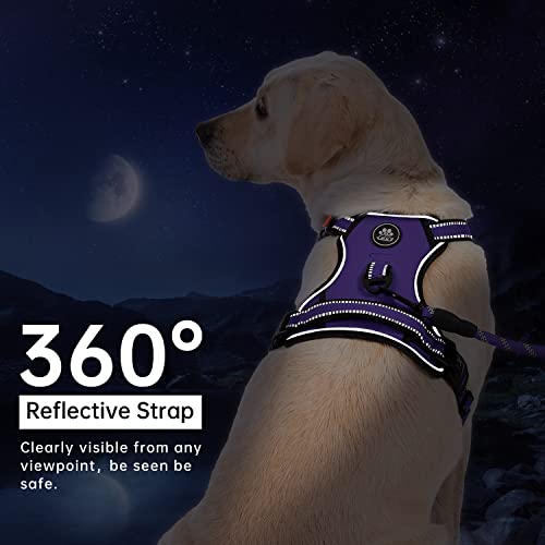 No Pull Dog Harness for Small Dogs (Purple / Small)