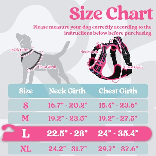 Dog Harness for Large (Large / Mountain Rose)
