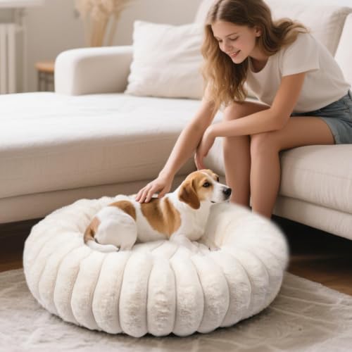 Donut Small Dog Bed Round Calming Kitten & Puppy Bed (White / XS(20*20*6))
