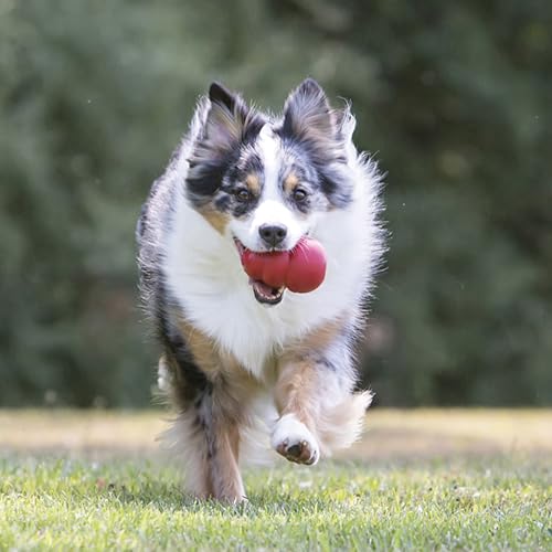 Classic Stuffable Dog Toy (X-Large (Pack of 1))