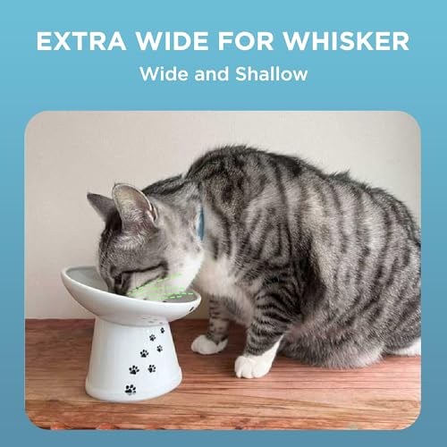 Necoichi Ceramic Elevated Cat Food Bowl (Cat / Large Extra Wide Tilted)