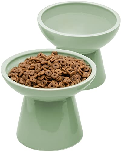 2 Pack Elevated Ceramic Cat Bowls Extra Wide for Food & Water (Sage Green)