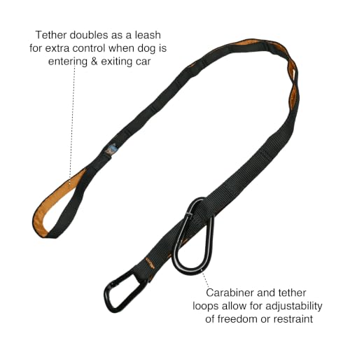 Auto Zip Line (2 Piece Set)