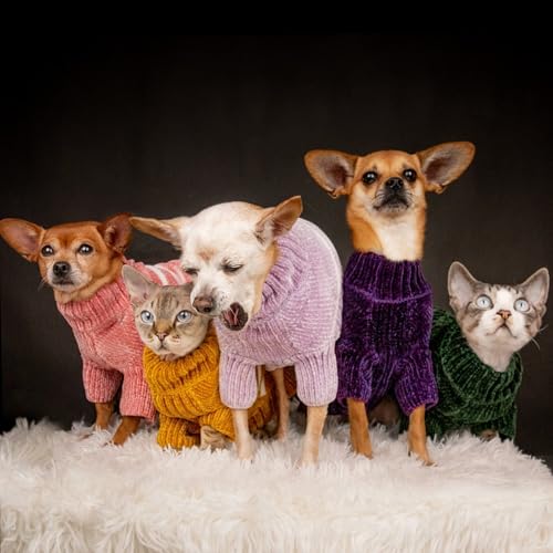 Cozy Soft Chenille Classy Striped Dog Sweater in Dark Plum (14 inch / Dark Plum)