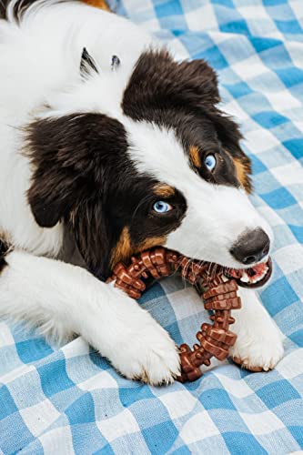 Textured Ring Power Chew Toy for X (X-Large / Textured Ring)