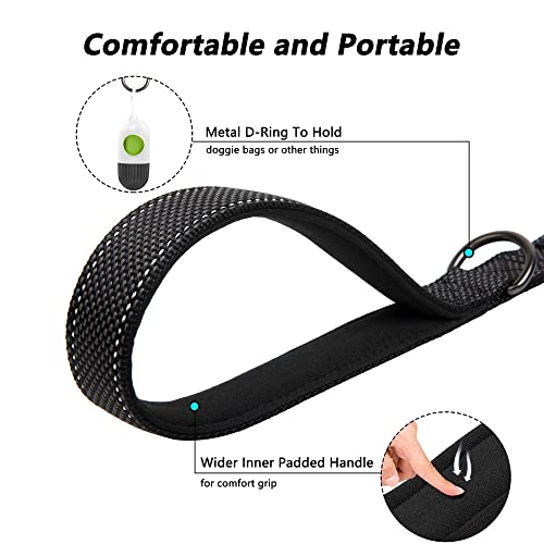 4FT Heavy Duty Dog Leash with Soft Padded Double Handle (4 FT x 1 in Wide / Black)