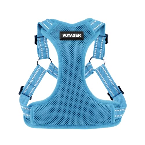 Voyager Step in Flex Adjustable Dog Harness (Harness (Baby Blue) / XL)