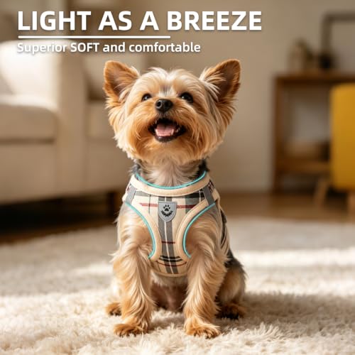 Dog Harness Collar and Leash Set No Pull for Small Medium Sized (Beige / XXS (CHEST 11.5"-13"))