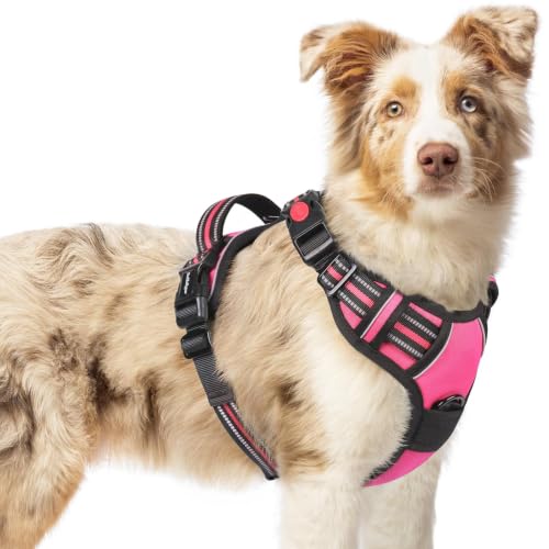 Dog Harness Medium Sized (Medium / Rose Pink)