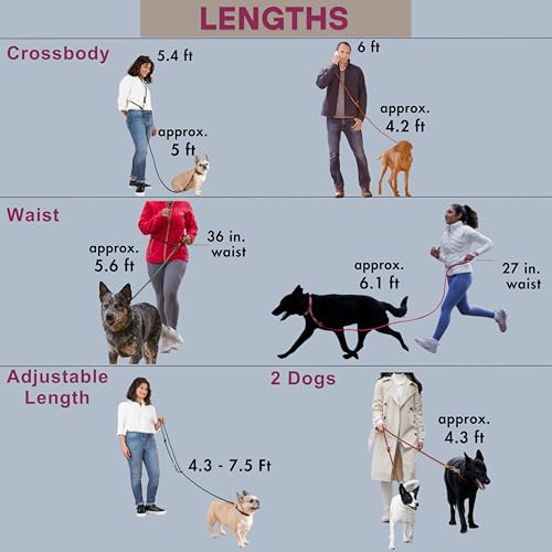 Hands Free Dog Leash (Pink / 8.2 ft x 3/8 in)