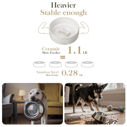 Ceramic Dog Food Bowl (Honeycomb / 2 Cups)