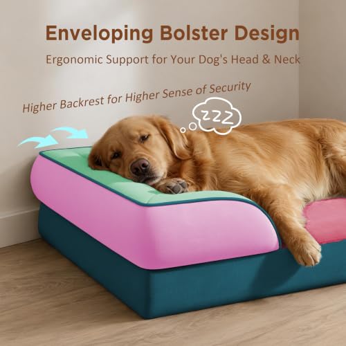 Orthopedic Dog Bed for Extra Large Dogs with Bolster (45.0"L x 35.0"W x 8.5"Th / Mint-Berry Dream)