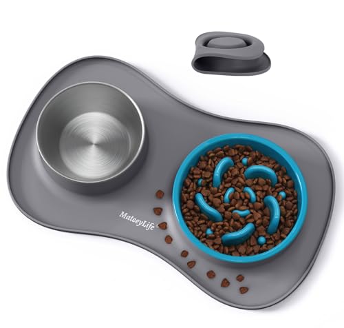 Dog Food and Water Bowl Set 3 in 1 (Small / Gray)