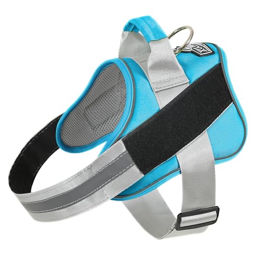 Dog Harness No (Large (Pack of 1) / OceanicBlue)