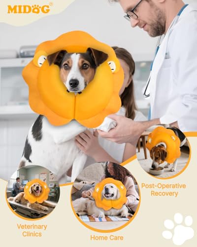 Inflatable Dog Cone (Lion / L+(11"-14"))