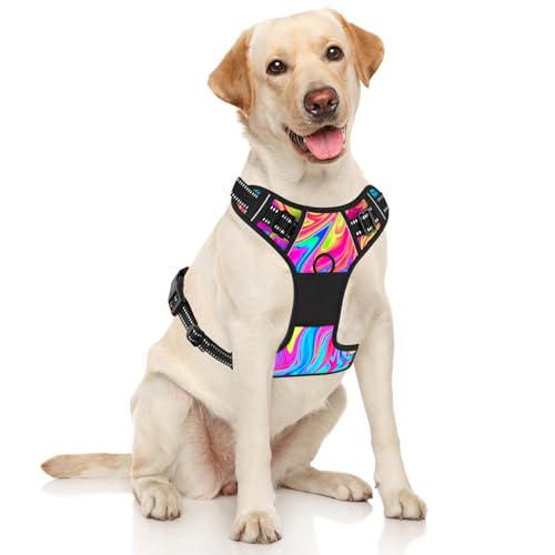No Pull Dog Harness (Abstract Rainbow Art / X-Large)