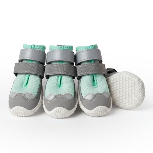 365 Dog Shoes (Turquoise / Size 8: 3"x3.35"(W*L) (Pack of 4))