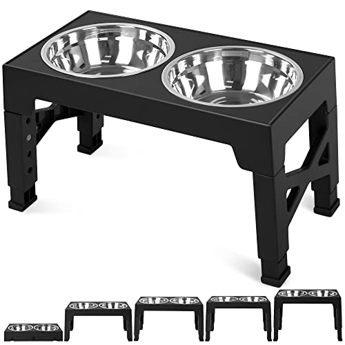 Elevated Dog Bowls with 2 Stainless Steel Dog Food Bowls (Black)